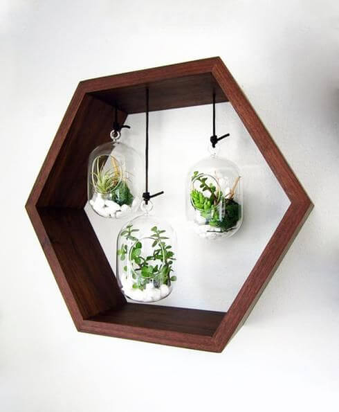 Arredare con le piante: vasetti con cornice