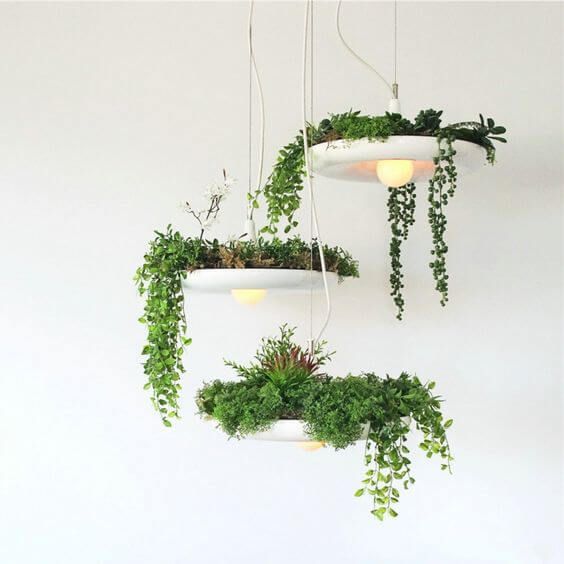 Arredare con le piante: green design con lampadari